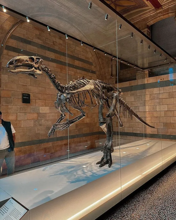 Natural History Museum Natural History Museum