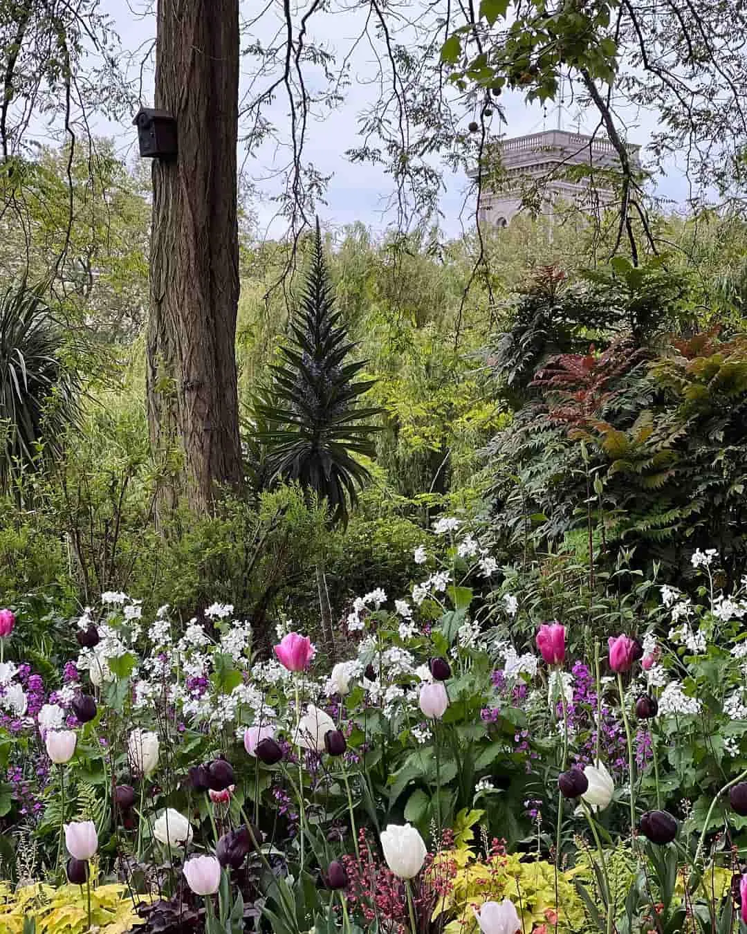 St James’s Park St James’s Park