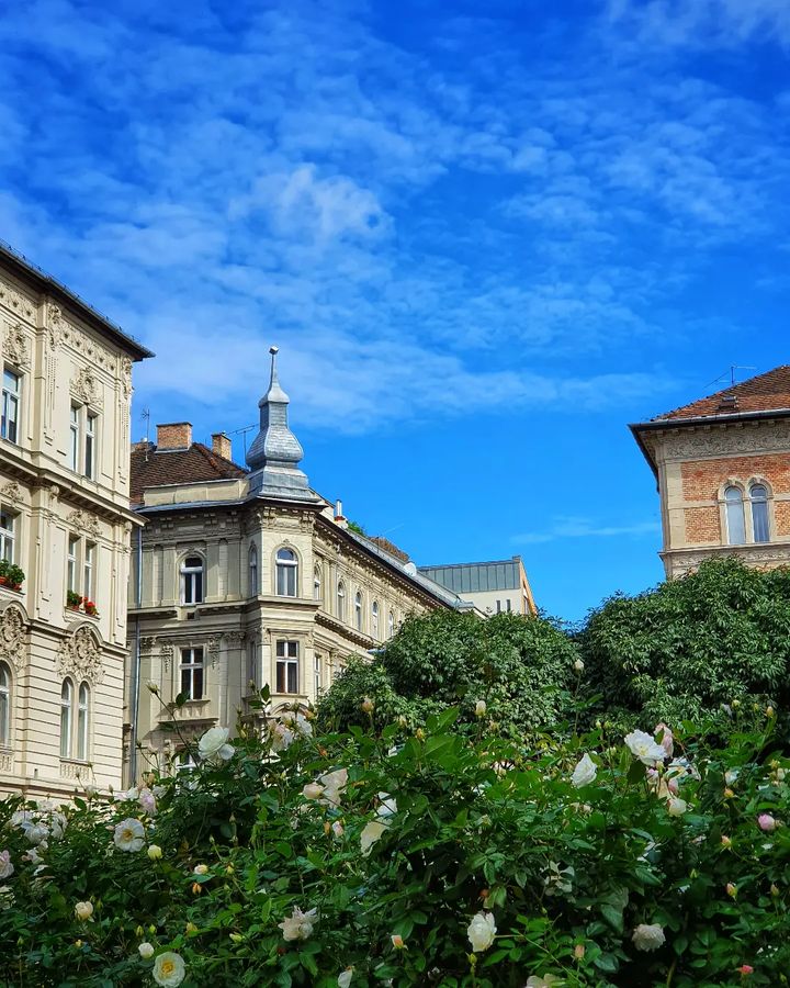 Erzsebetvaros Erzsebetvaros