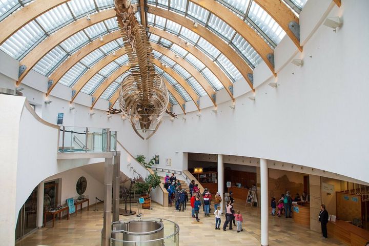 Ferencváros Ferencváros