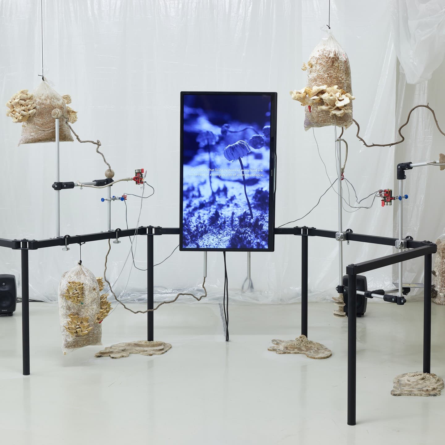 Ferencvaros Ferencvaros