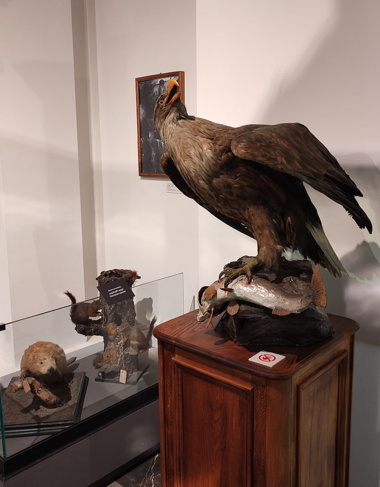 Galería Nacional Galería Nacional