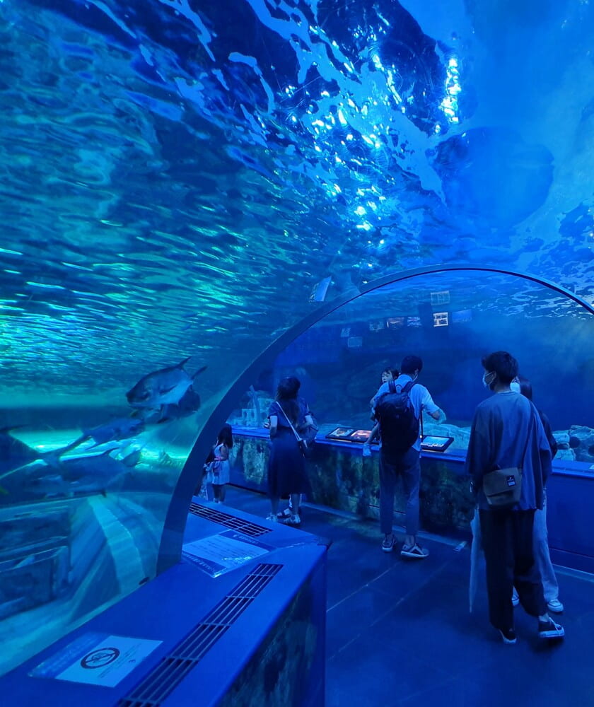 Maxell Aqua Park Shinagawa Maxell Aqua Park Shinagawa