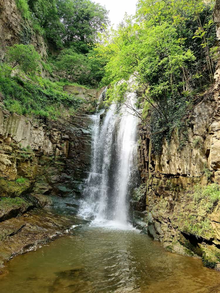 National Botanical Garden of Georgia National Botanical Garden of Georgia