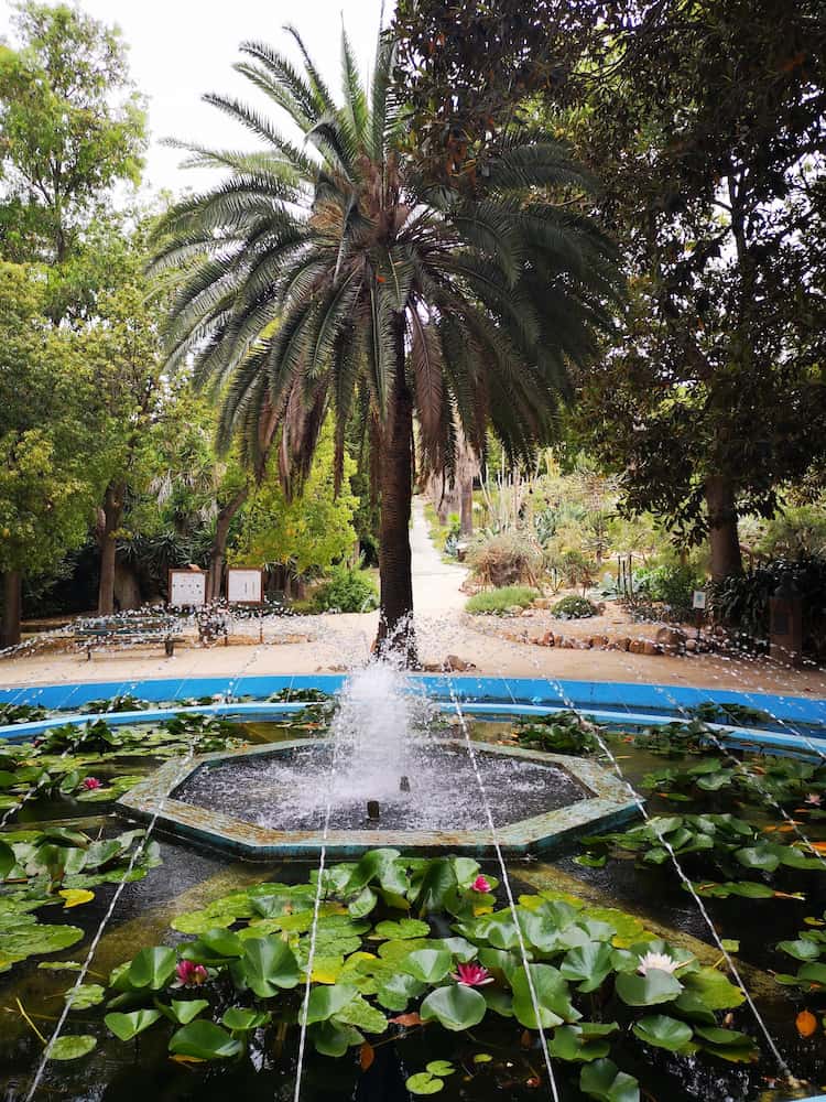 Orto Botanico Orto Botanico