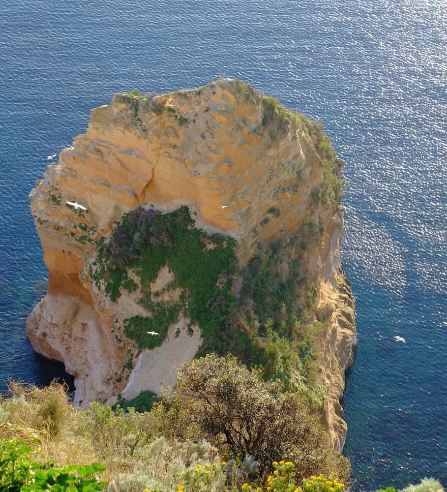 Parco Virgiliano Parco Virgiliano