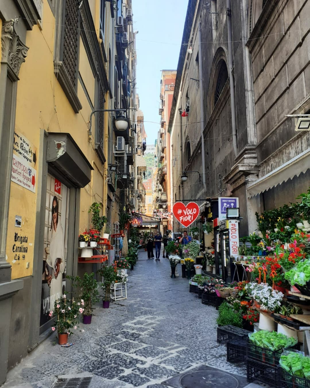 Piazza del Plebiscito Piazza del Plebiscito
