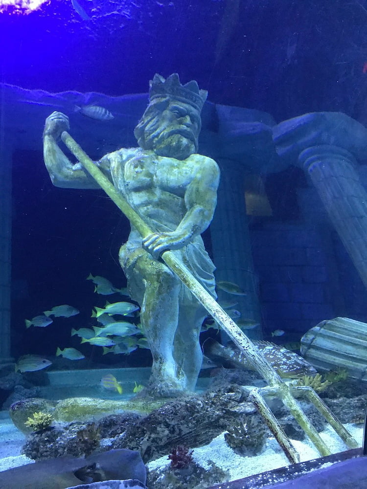 Sea Life Porto aquarium Sea Life Porto aquarium