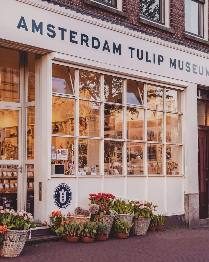 amsterdam tulip museum amsterdam tulip museum