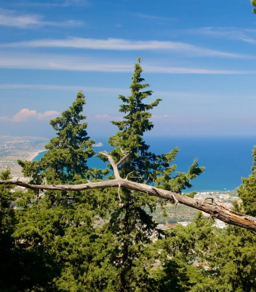 Nature of Colimbia Nature of Colimbia