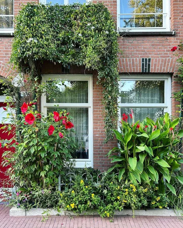 Oud-West, Amsterdam Oud-West, Amsterdam