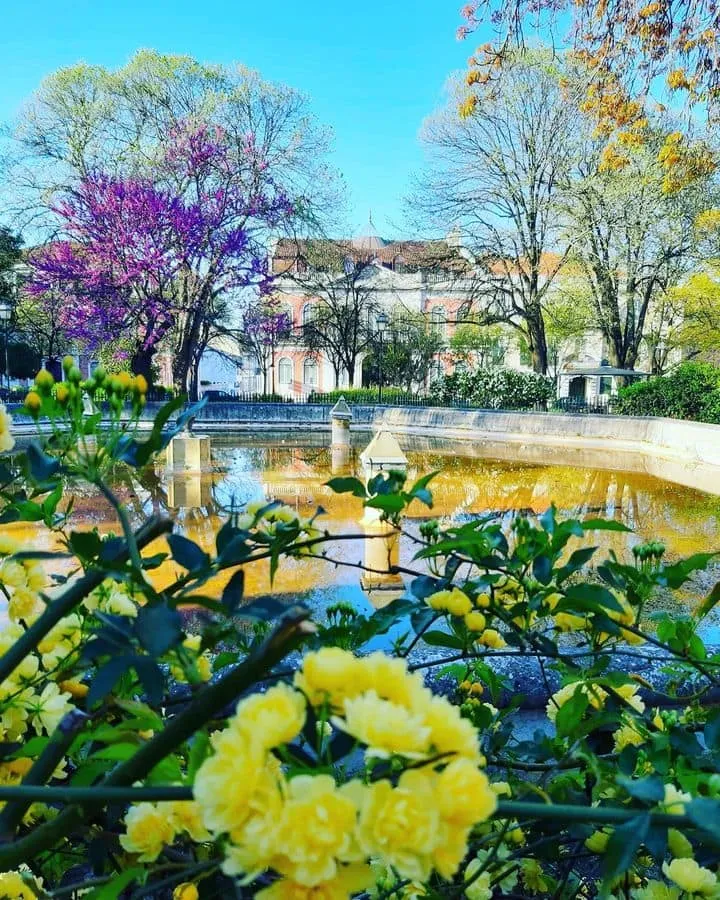 Príncipe Real Príncipe Real