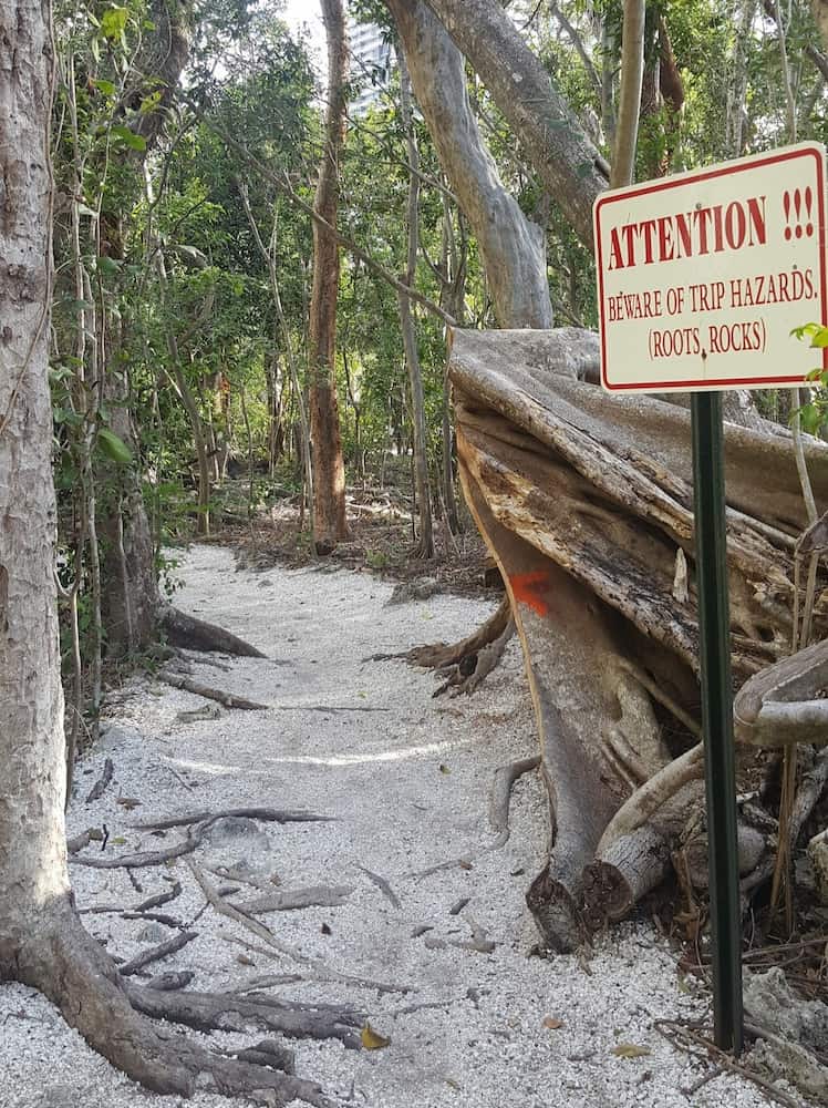 Simpson Park Simpson Park