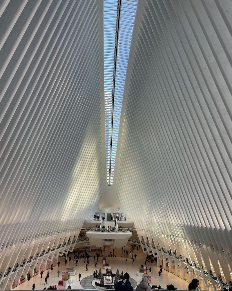 The Oculus The Oculus