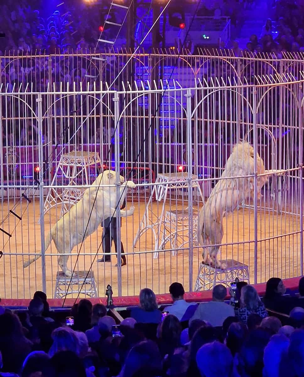 Chapiteau de Fontvieille Chapiteau de Fontvieille