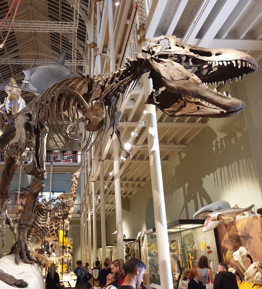 National Museum of Scotland National Museum of Scotland