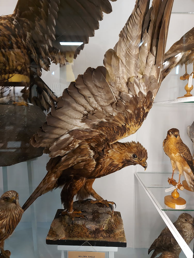 Natural History Museum Natural History Museum