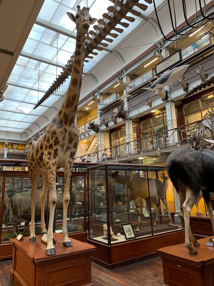 Natural History Museum Natural History Museum