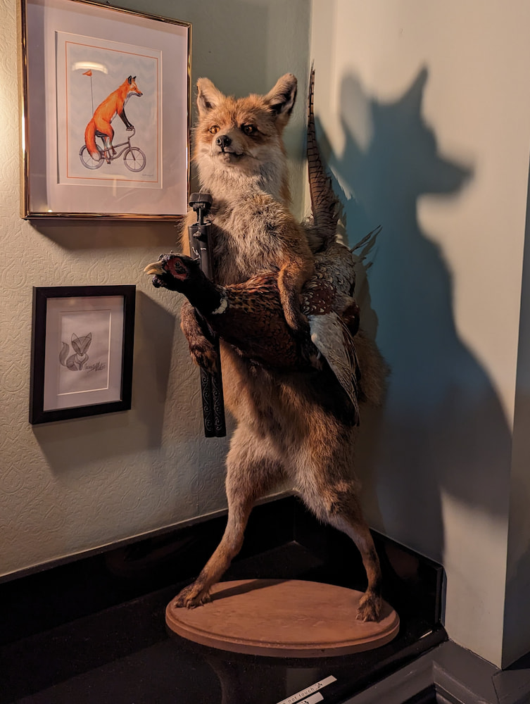 Portobello Portobello