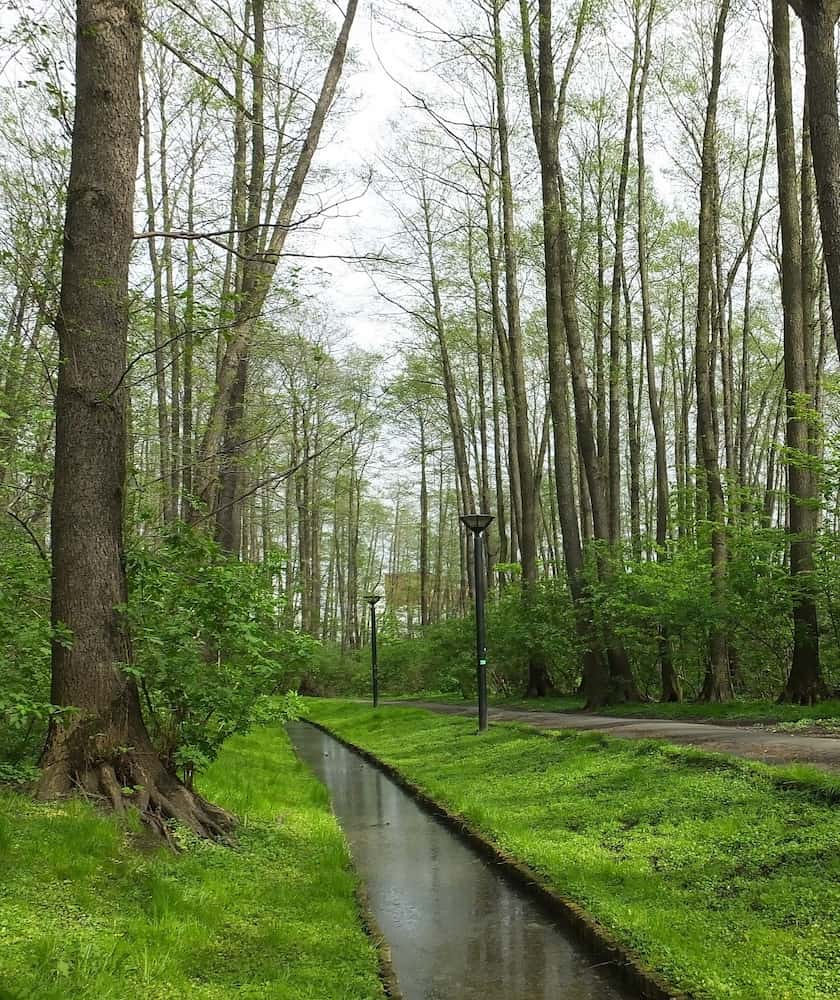 Park Olszyna Park Olszyna