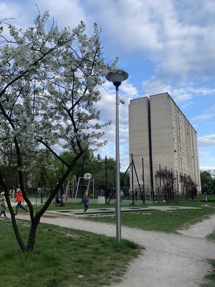 Park Olszyna Park Olszyna