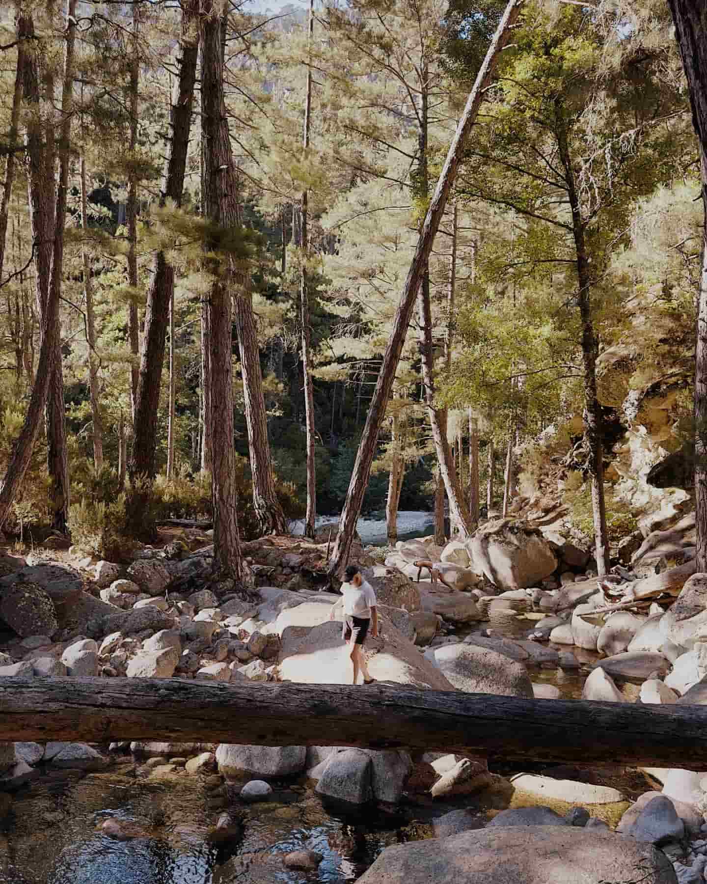 Hiking Corte, Corse, France