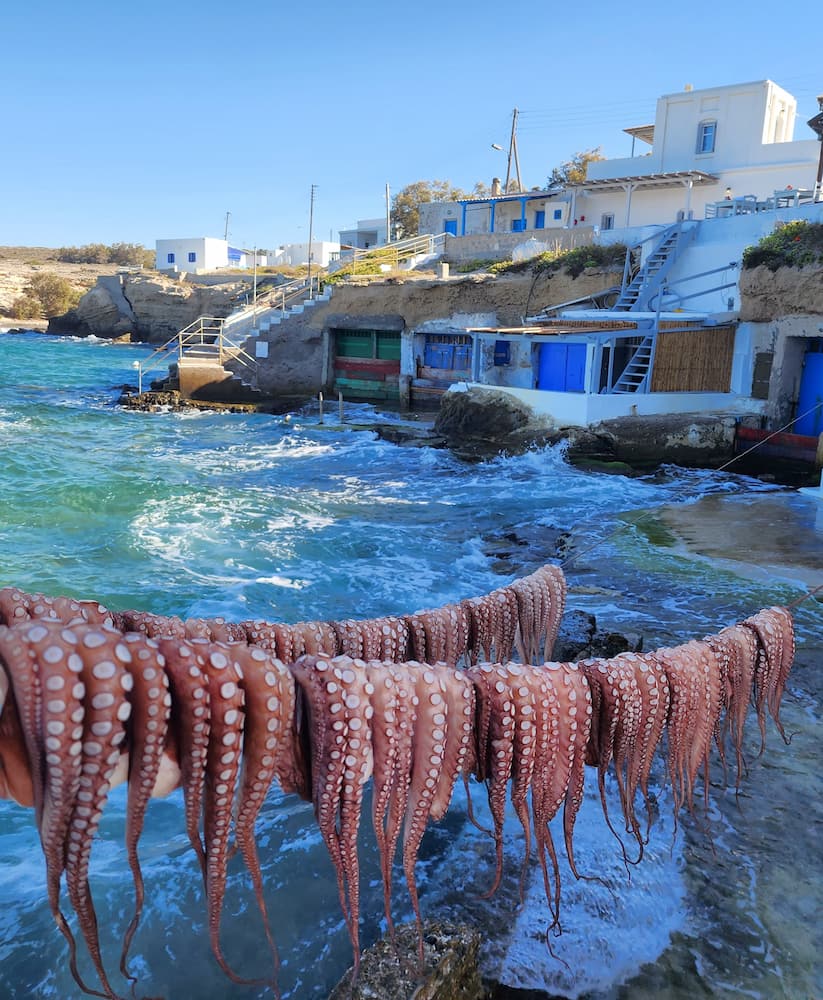 taverna Medousa Milos taverna Medousa Milos