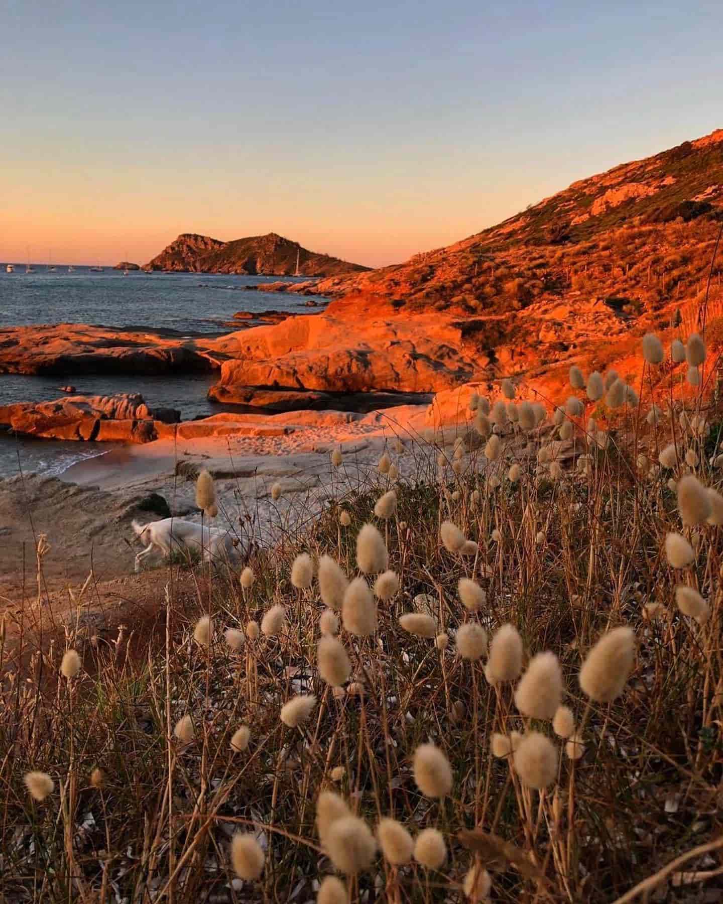 La Croix Valmer, Saint Tropez, Francia La Croix Valmer, Saint Tropez, Francia