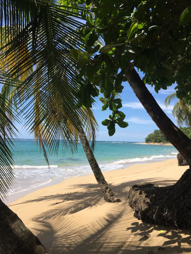 Puerto_Viejo_costa_rica-10 Puerto Viejo costa rica 10