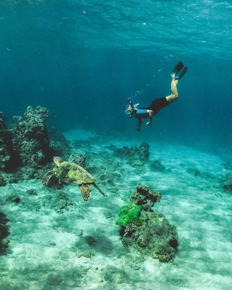 Península de Osa Península de Osa