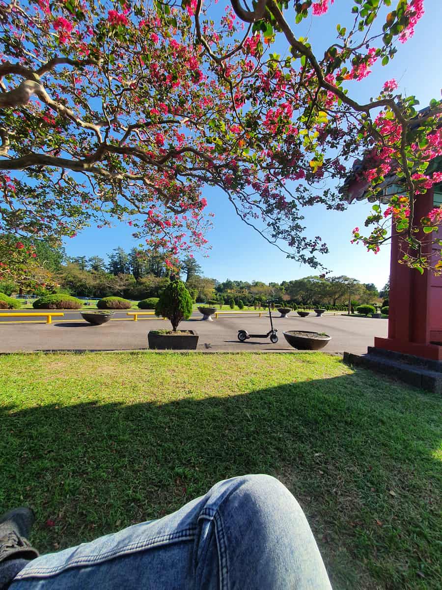 Aewol, Jeju Aewol, Jeju