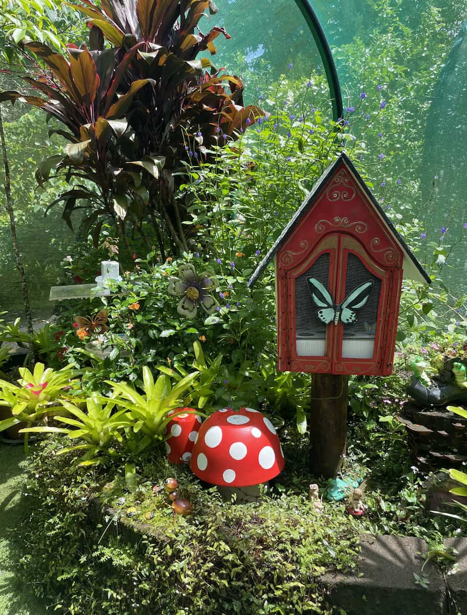 Australian Butterfly Sanctuary Australian Butterfly Sanctuary