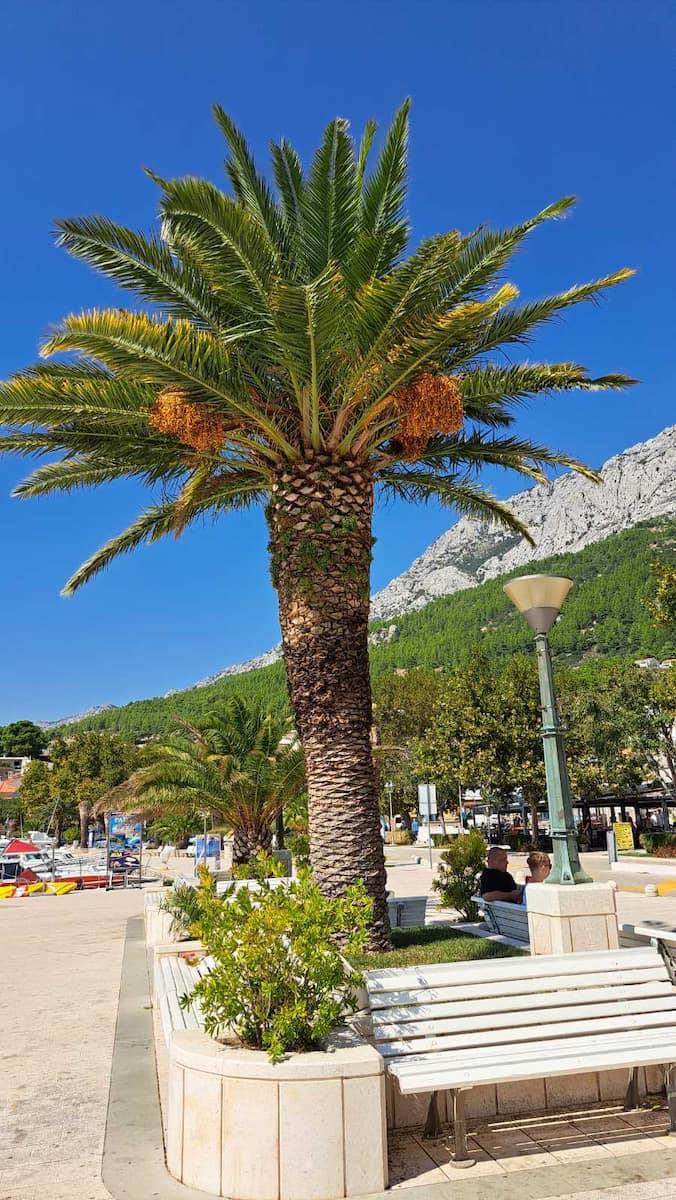 Bačvice, Split Bačvice, Split