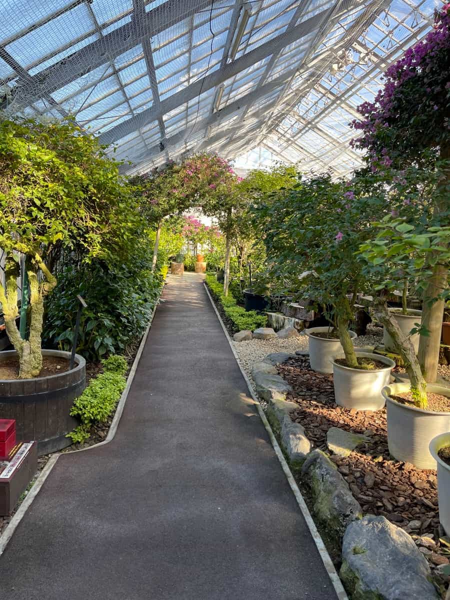 Parque Hakone Gora Parque Hakone Gora