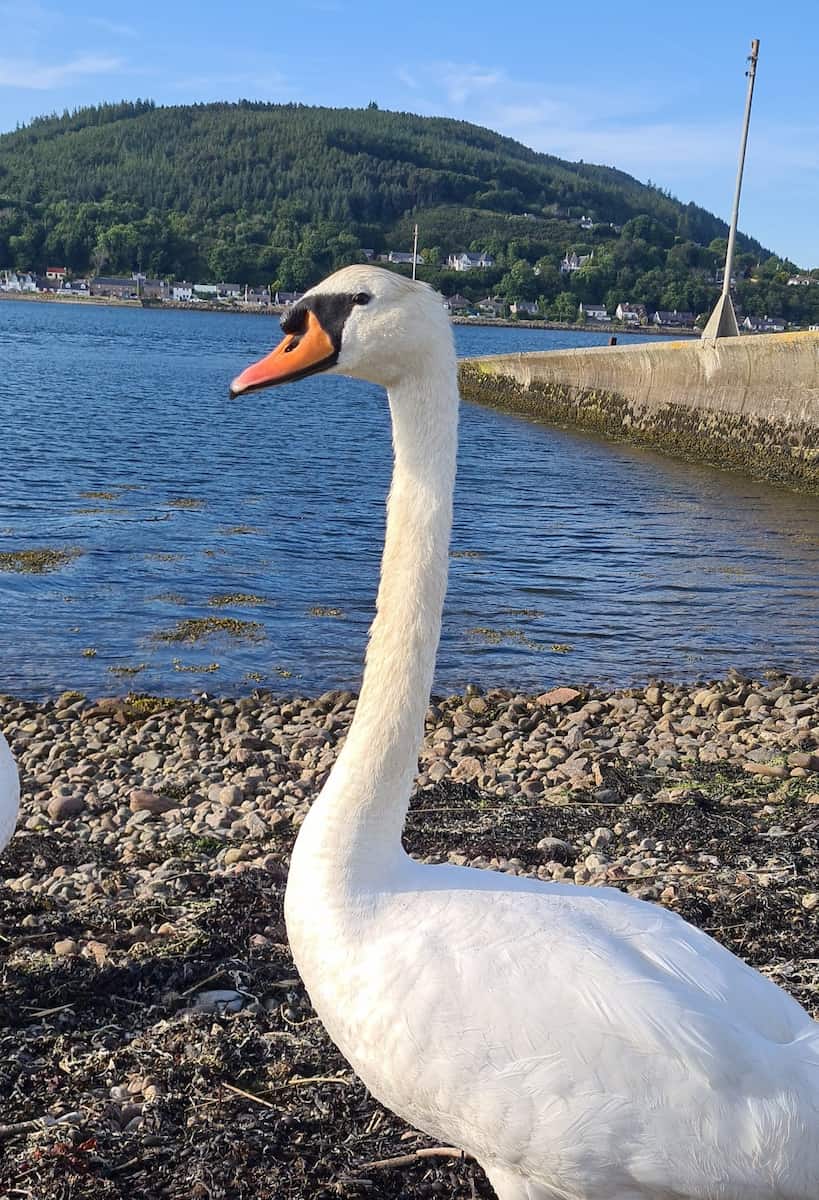 Merkinch Local Nature Reserve Merkinch Local Nature Reserve