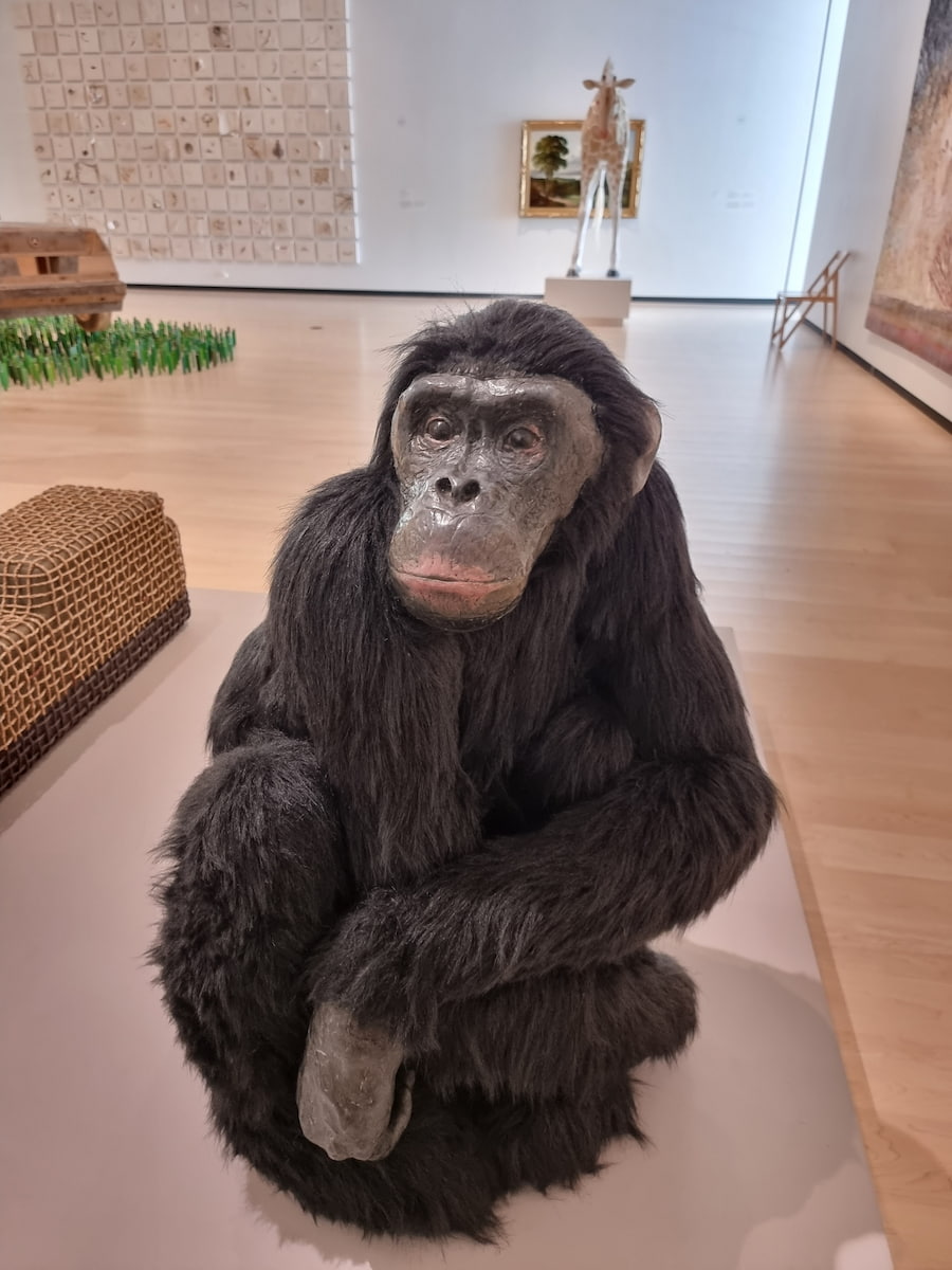 Québec_City_Montcalm (17) Montcalm, Quebec City