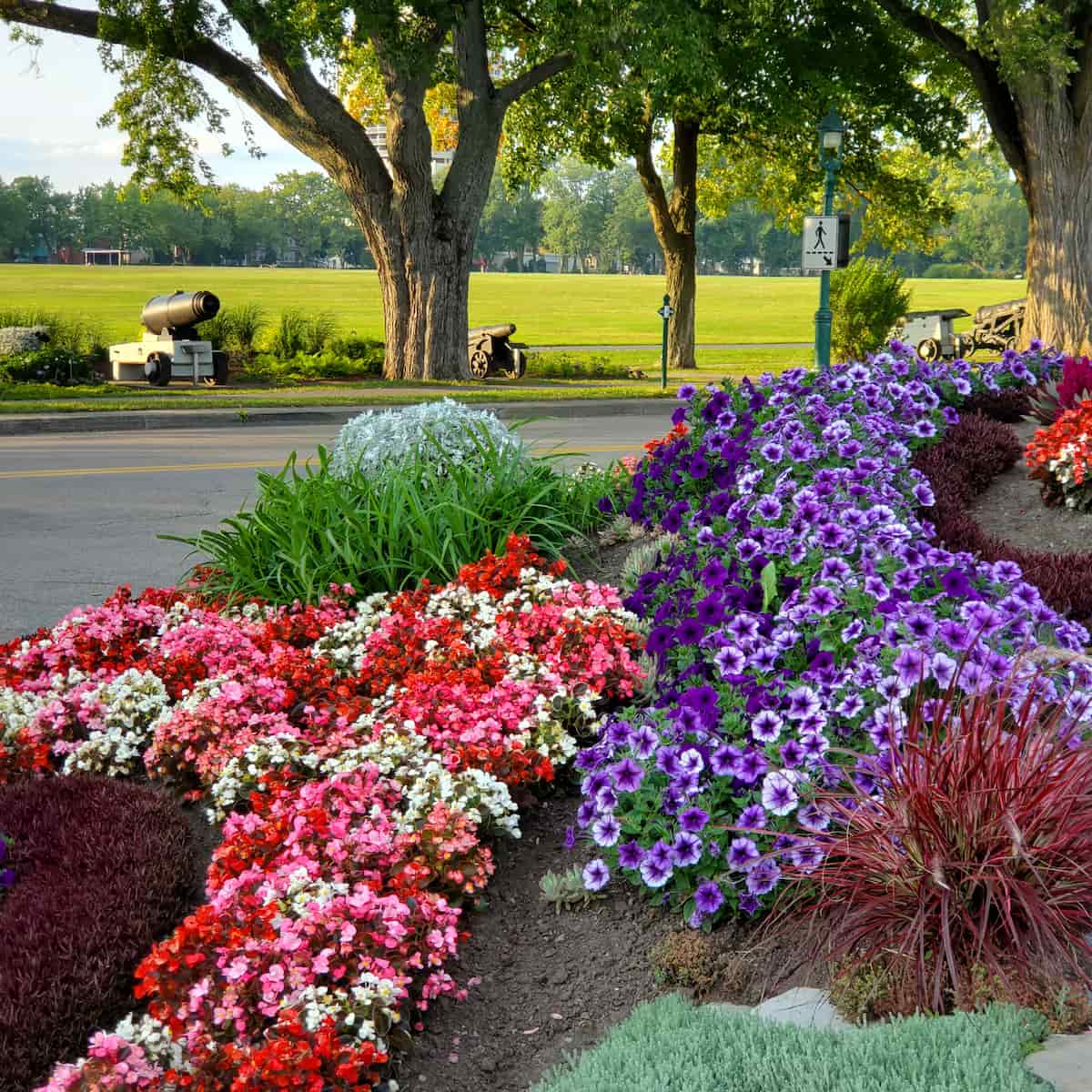 Montcalm, Québec City Montcalm, Québec City