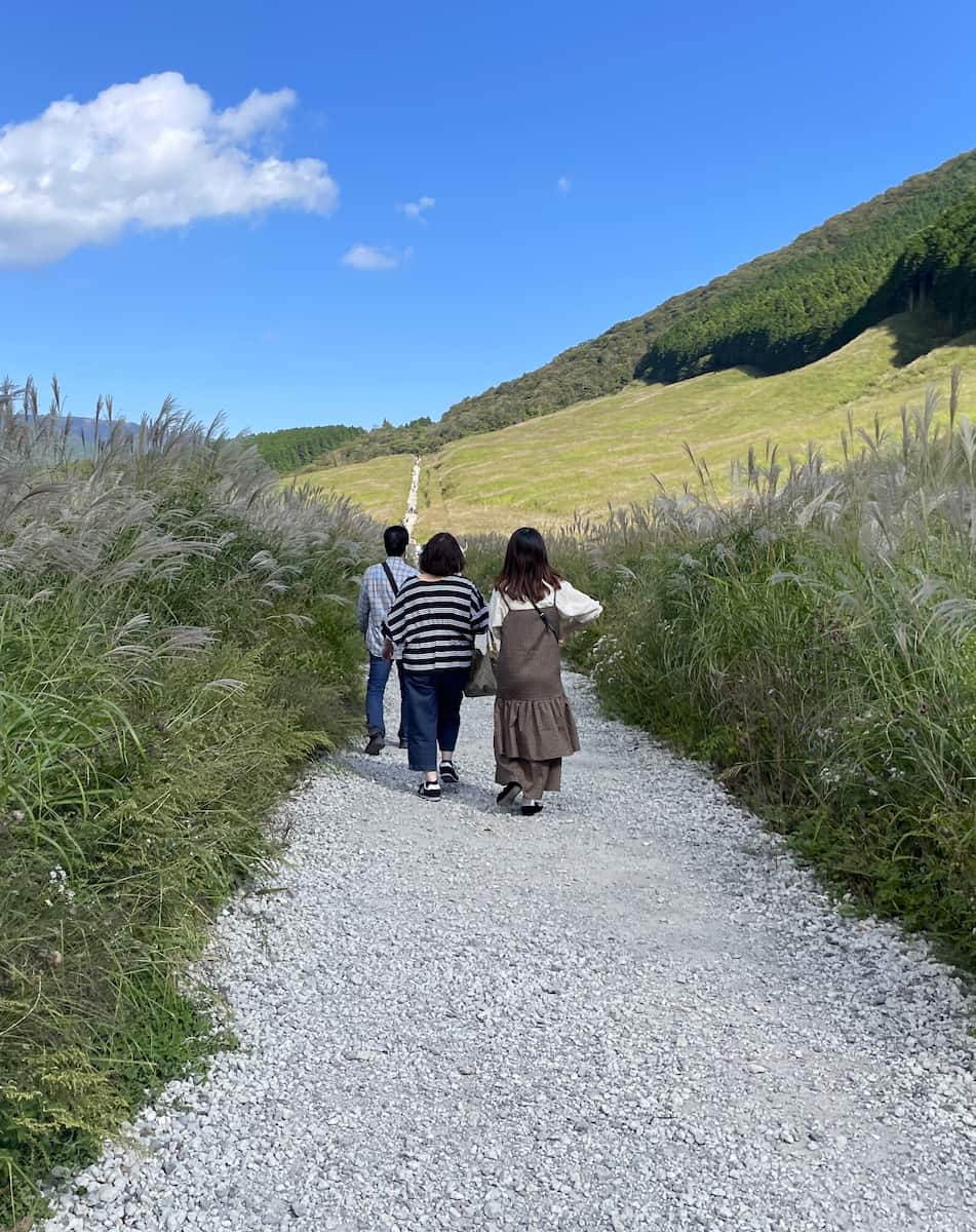 Zona de Sengokuhara Zona de Sengokuhara