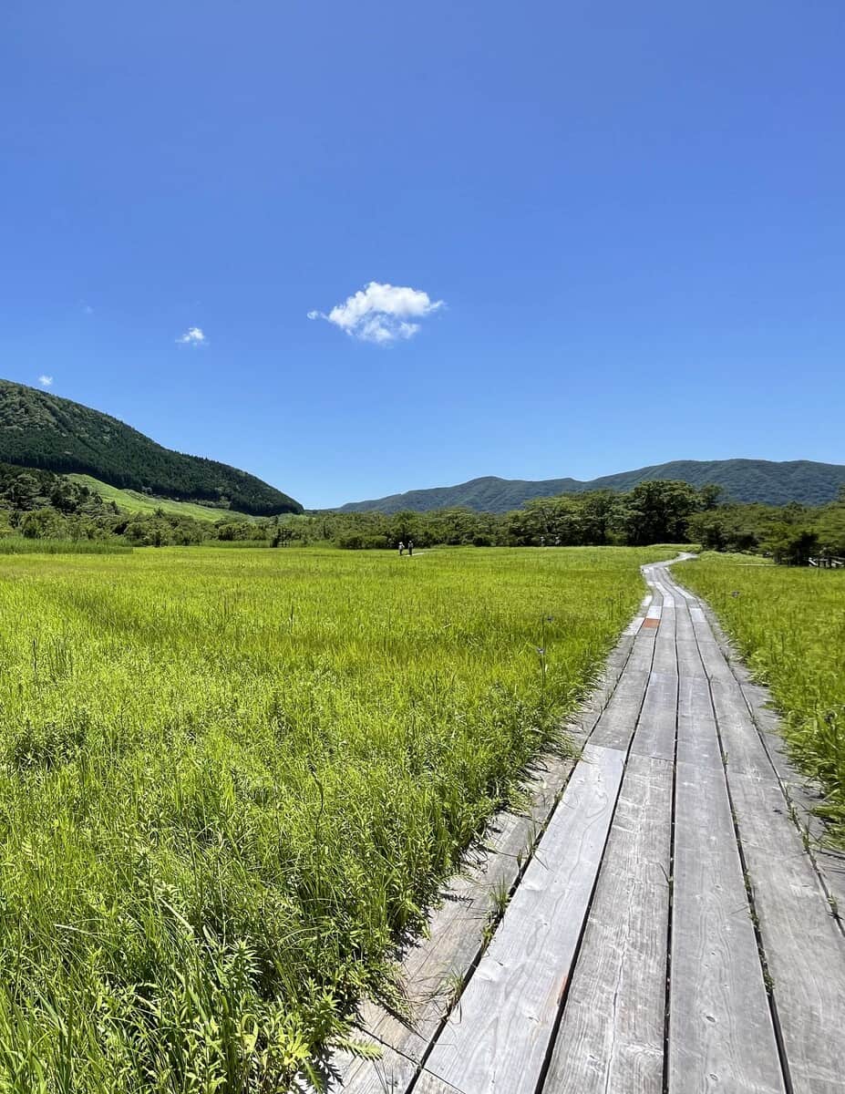 Zona de Sengokuhara Zona de Sengokuhara