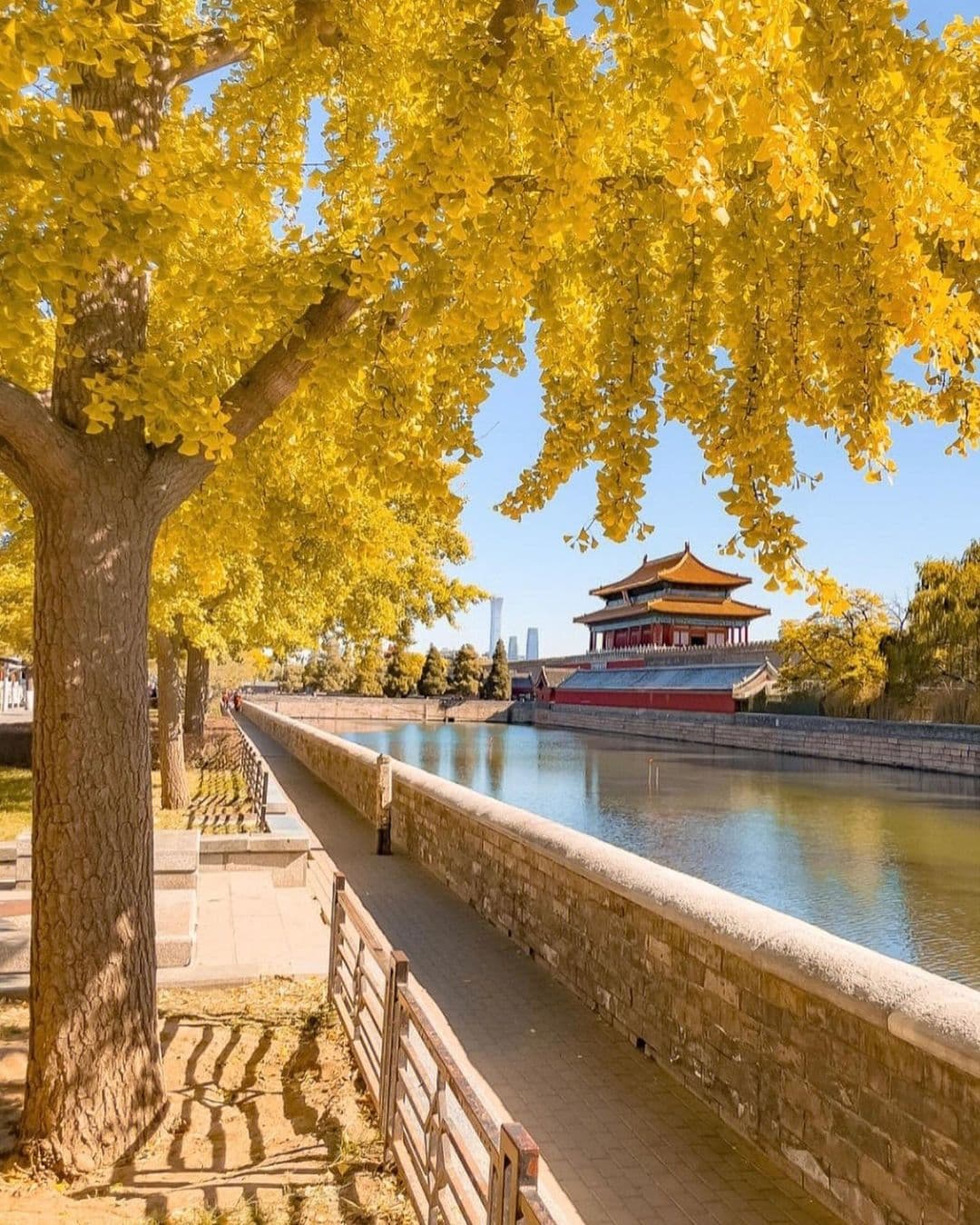 Forbidden City Forbidden City