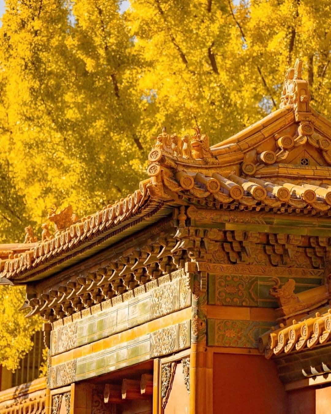 Forbidden City Forbidden City