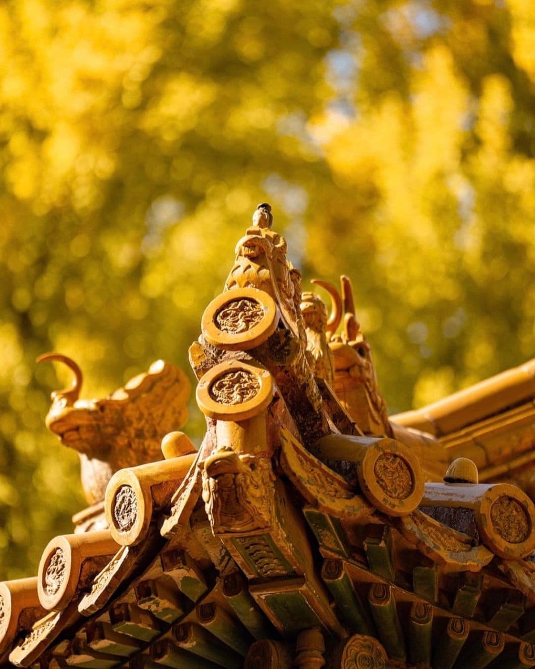 Forbidden City Forbidden City