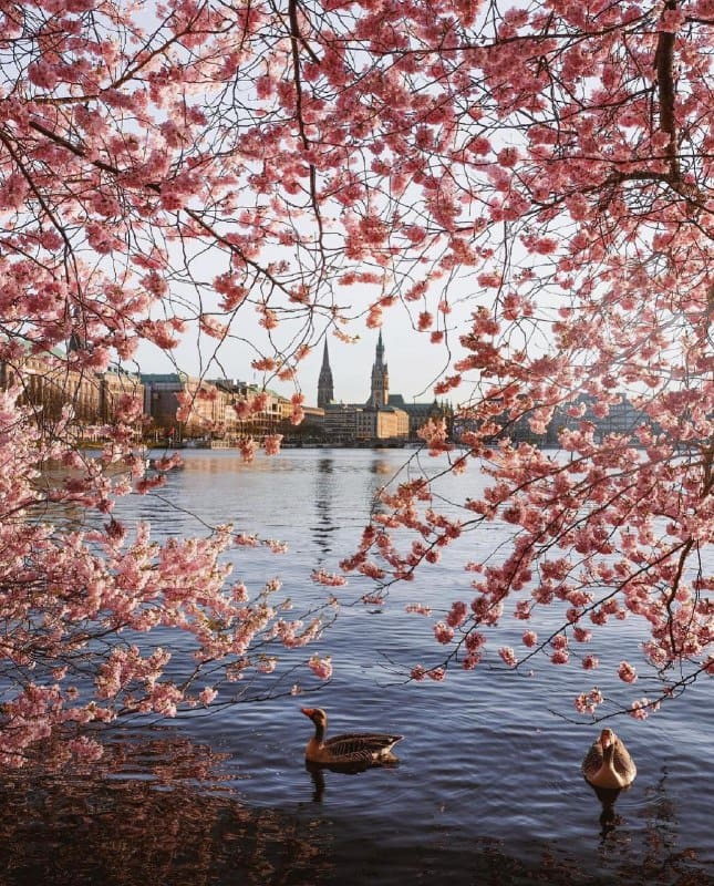 Hamburgo, Alemania Hamburgo, Alemania