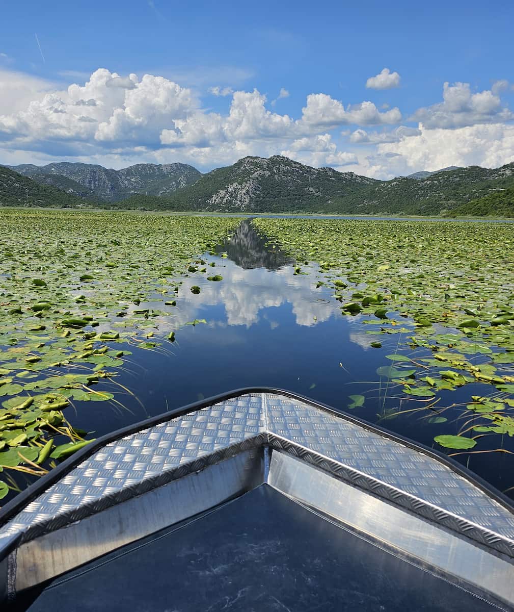 Lago Skadar, Montenegro Lago Skadar, Montenegro
