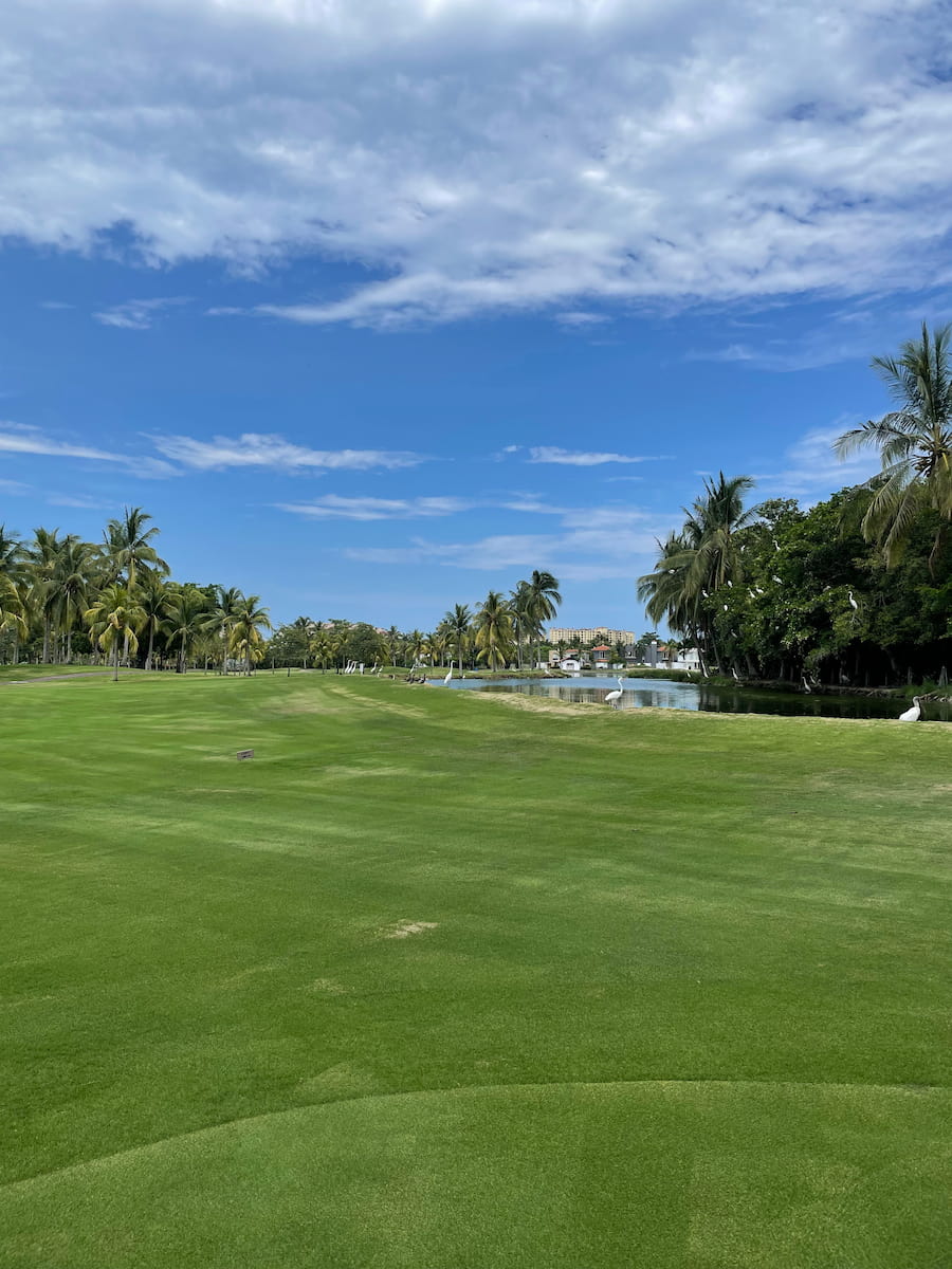 Marina Vallarta Marina Vallarta