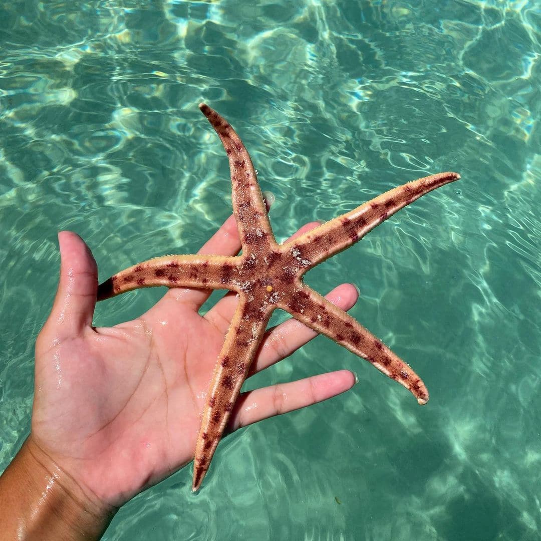 Blue Bay, Mauricio Blue Bay, Mauricio