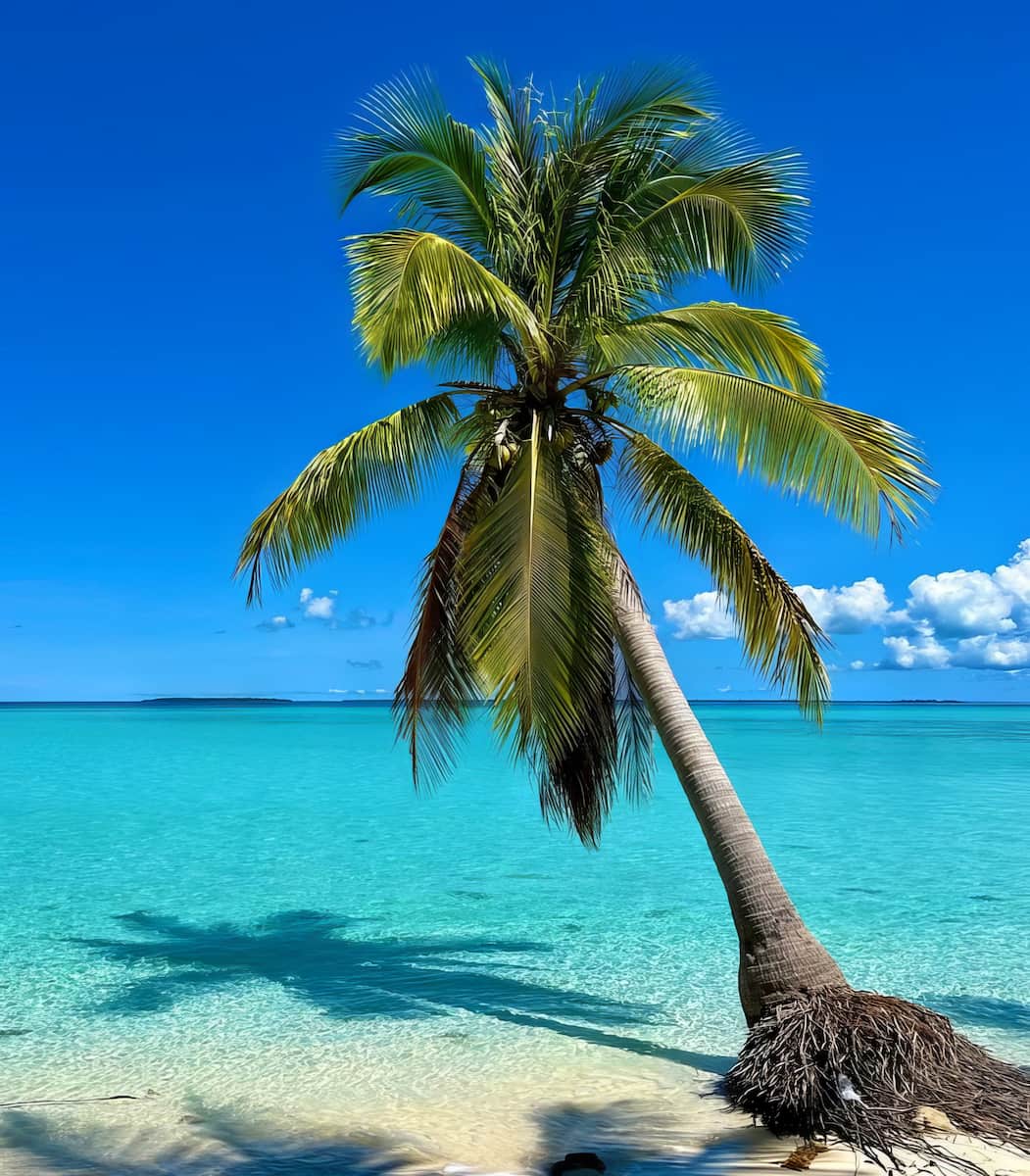 Islas menores, Palawan Islas menores, Palawan