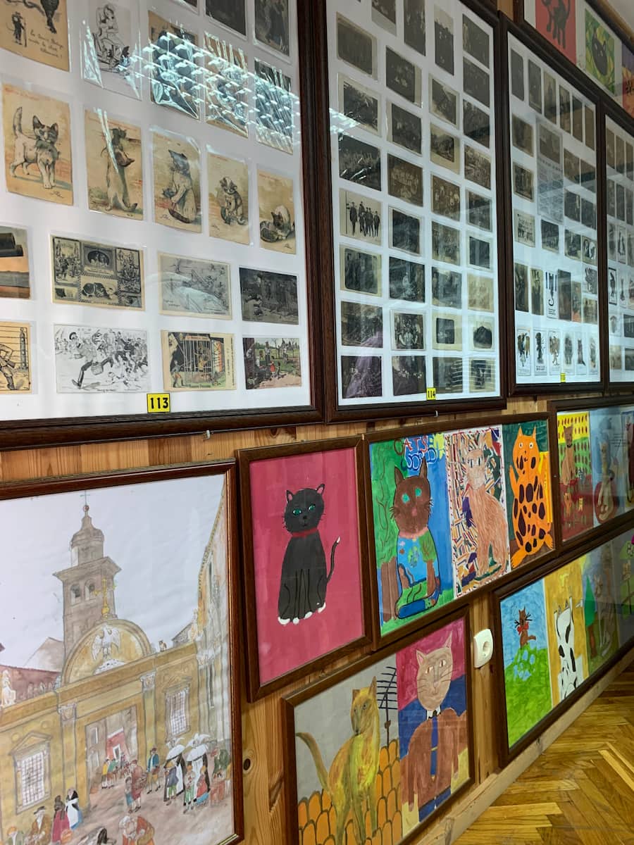 Kotor, Montenegro Kotor, Montenegro