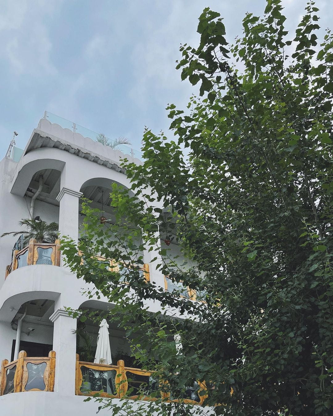 Nali Patio Nali Patio