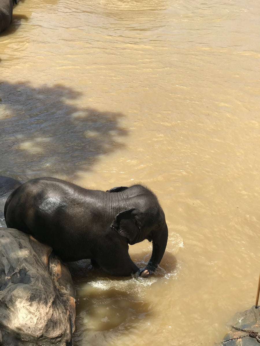 Nuwara Eliya, Sri Lanka Nuwara Eliya, Sri Lanka